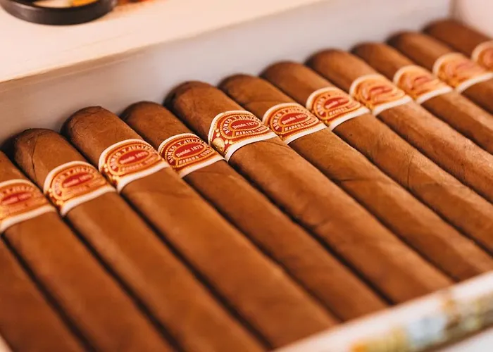 Apartment Boutique Sonnenhang - Incl Spa-area *